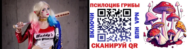 ссылка на мегу ссылка  даркнет наркотические препараты  Лесозаводск  Псилоцибиновые грибы ЛСД  сколько стоит 