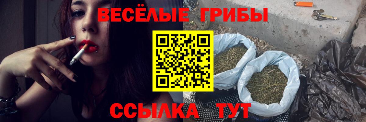 Псилоцибиновые грибы ЛСД  Псилоцибиновые грибы мухоморы  Вход с VPN  Лесозаводск 